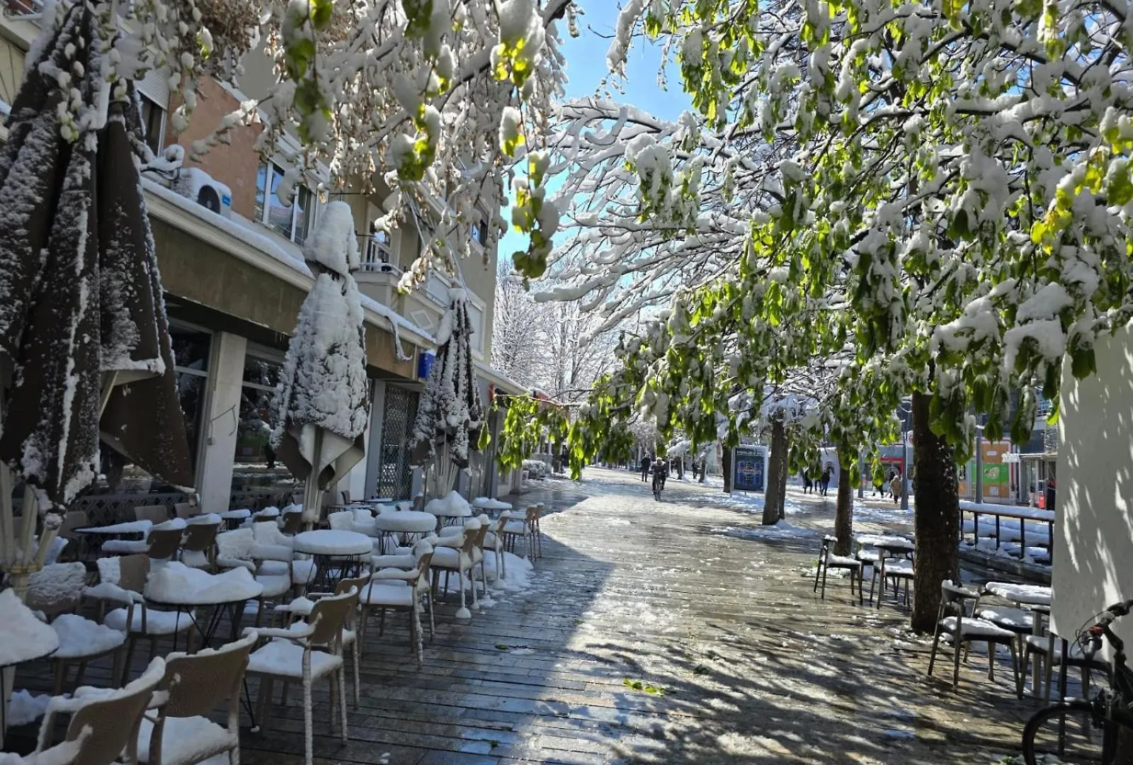 Vila Sonnet Korce Albánie